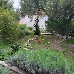 Padova 2 Banjol