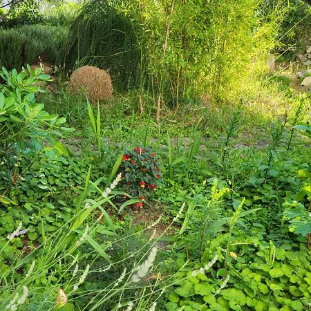 Apartamento Padova 2