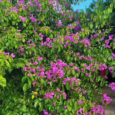 Apartament Padova 2 *